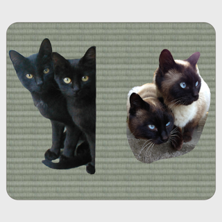 69705bcc308edacd35f46a308cf3258e.png